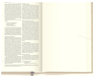 Screen Shot 2015-11-03 at 9.07.09 PM